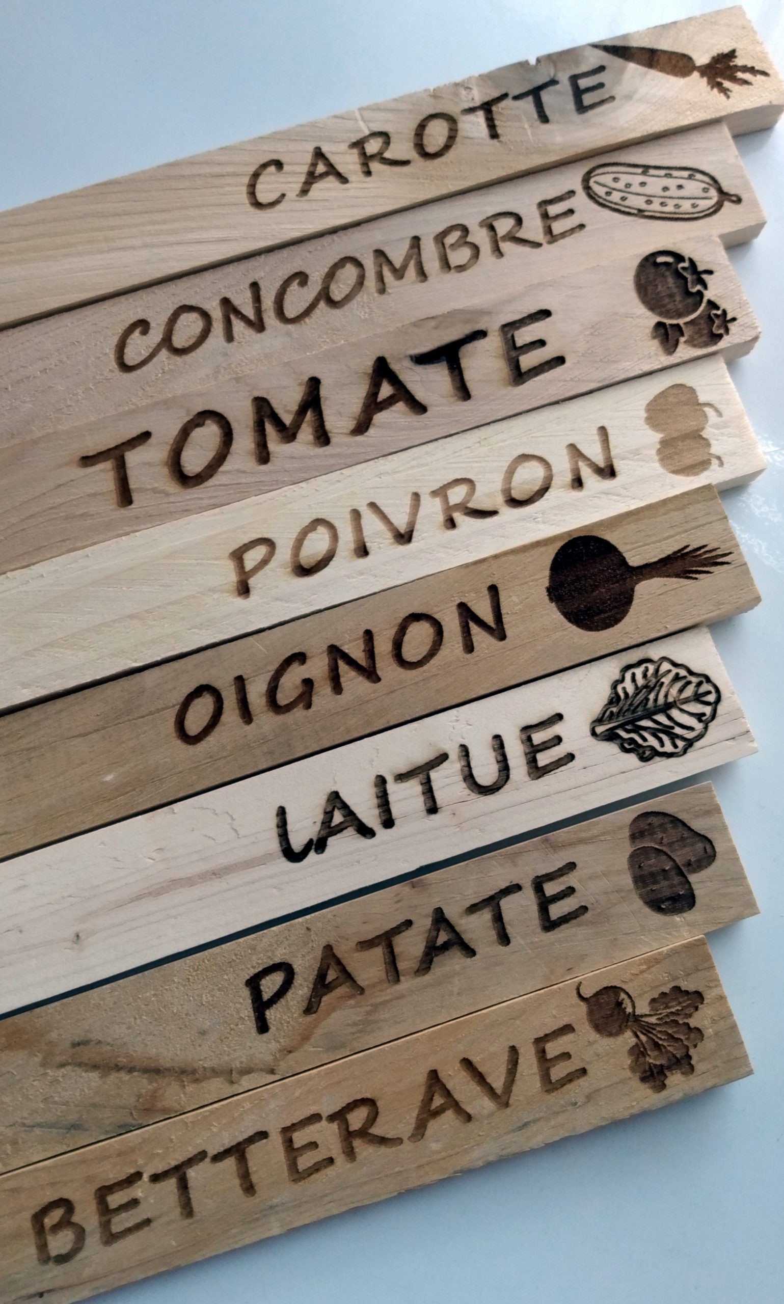 kit de 8 étiquettes de jardin en bois