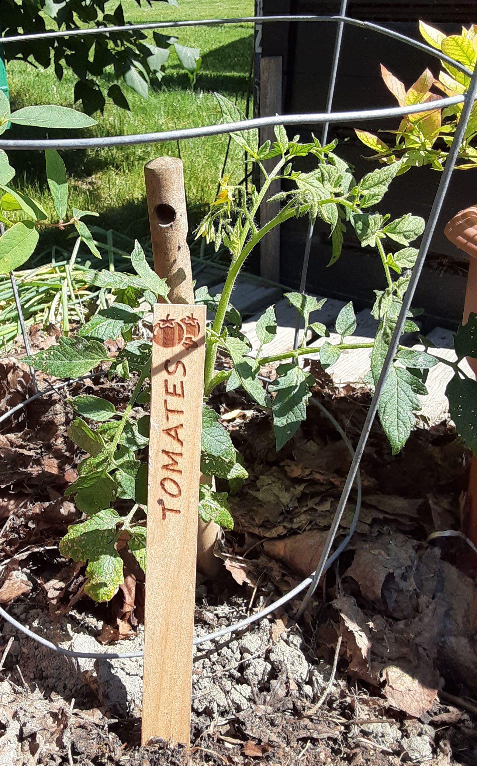 kit de 8 étiquettes de jardin en bois – Image 7